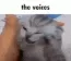the voices