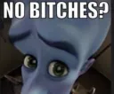 no bitches 