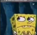 scared sponge nigga