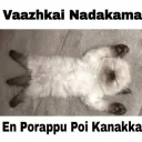 Vaazhkai Nadakama 