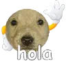 :hola:
