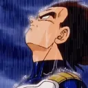 Vegeta Rain