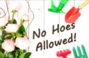 No Hoes 
