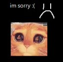 imsorry