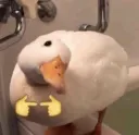 Ducky