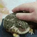 PatToad
