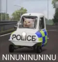 ninuninu