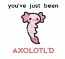 Axolotl'd 