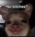 no bitches 