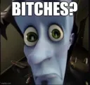 Bitches?