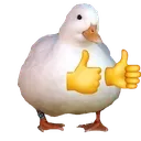 duckthumbsup