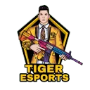 TIGER ESPORTS