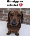 stupid ass nigga