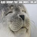 Bought HAI before 1 dollar