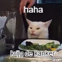 hahakrijgkanker