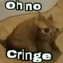 oh no cringe