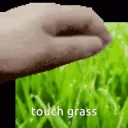 touching grass