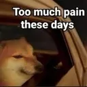 Pain