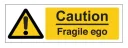 Fragile Ego