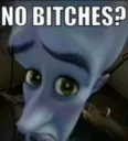 no bitches? 