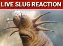 Slug