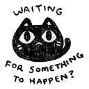 Cat Waiting