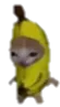 cat_banana