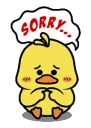 sorry