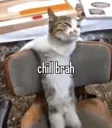chill brah
