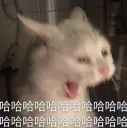 哈哈哈哈哈哈哈哈哈哈