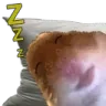 je dormu