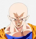 Goku Careca