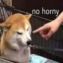 nohorny