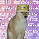 Bad Doge