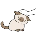猫猫摸头