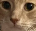 Hooter heckin concerned