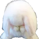 sadbun