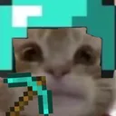 mc cat