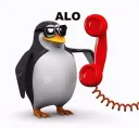 Alô