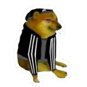 Slav Shib