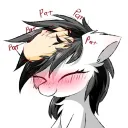PonyPat
