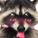 Flowerraccoon
