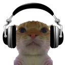 Pico with headphones