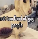 not too fond of gay people