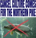 NORTHERN PIKE CANCELLED