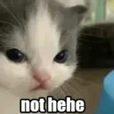 not hehe