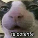 Ta potente