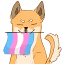:trans_doge: