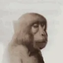 Frost when cp