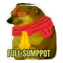 Full Sumppot (Support)